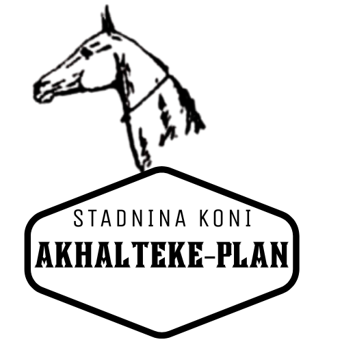 Stadnina Koni Akhalteke-Plan – Zapraszamy!